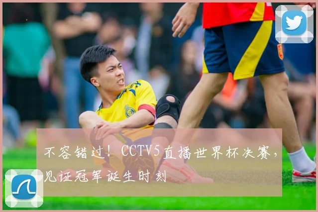 不容错过！CCTV5直播世界杯决赛，见证冠军诞生时刻