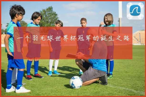 一个羽毛球世界杯冠军的诞生之路