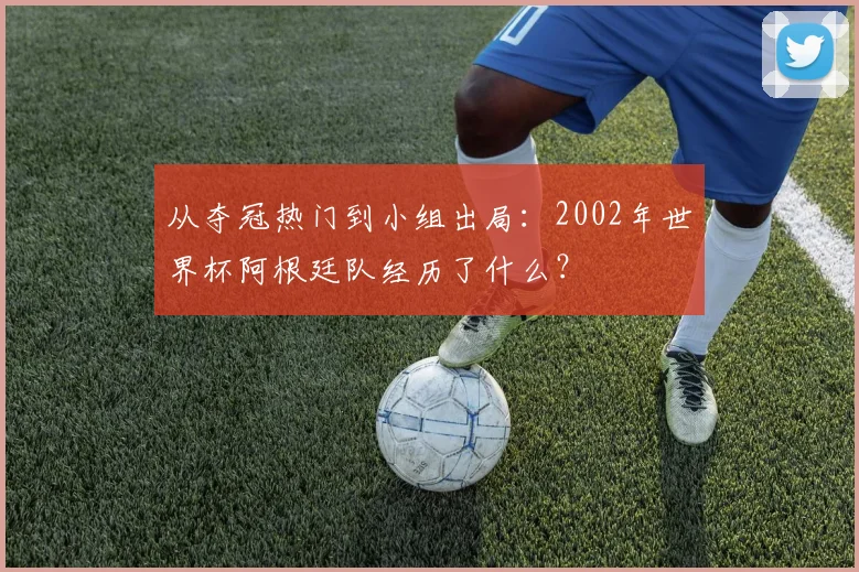 从夺冠热门到小组出局：2002年世界杯阿根廷队经历了什么？