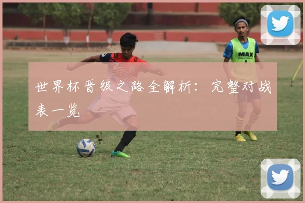 世界杯晋级之路全解析:完整对战表一览