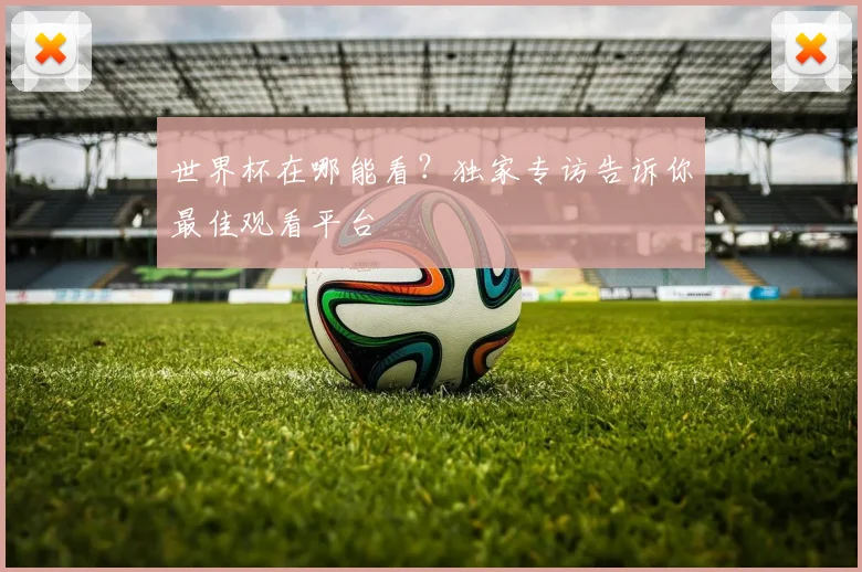 世界杯在哪能看？独家专访告诉你最佳观看平台